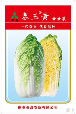 春玉黄